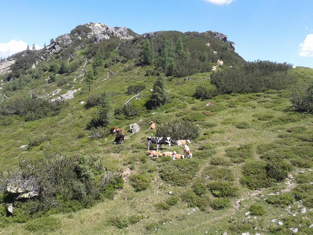 Alpenhotel Marcius ซอนเนนอัลเพอ นัสส์เฟลด์ ภายนอก รูปภาพ