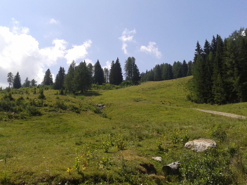 Alpenhotel Marcius ซอนเนนอัลเพอ นัสส์เฟลด์ ภายนอก รูปภาพ